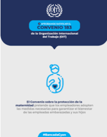 captura de pantalla 2026 04 07 135217